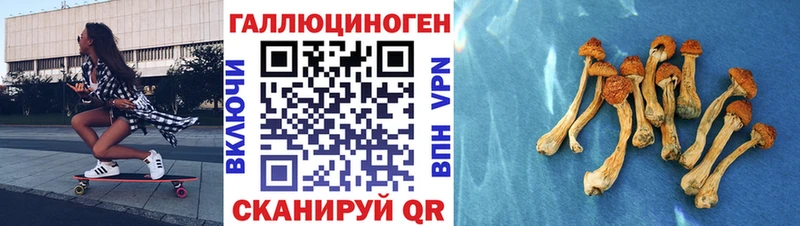 как найти закладки  Заполярный  Псилоцибиновые грибы MAGIC MUSHROOMS 